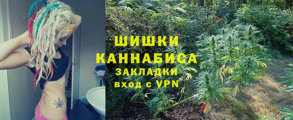 спайс Алексин