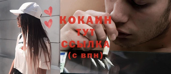 spice Алзамай