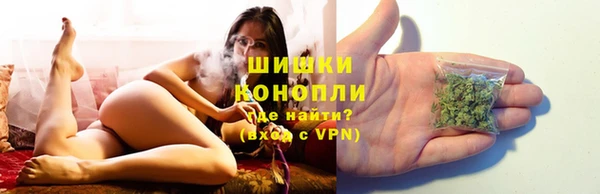 spice Алексеевка