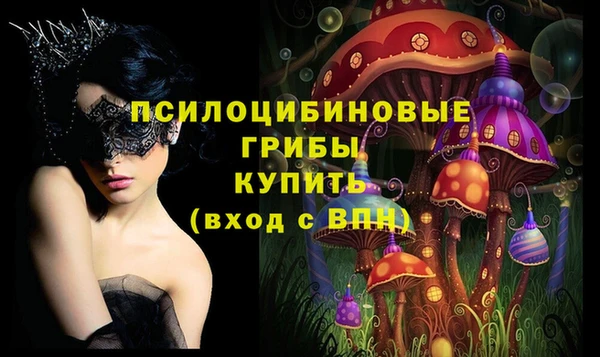 спайс Алексин